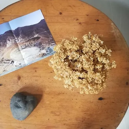 Tatil Evi Amaranti House N Art *