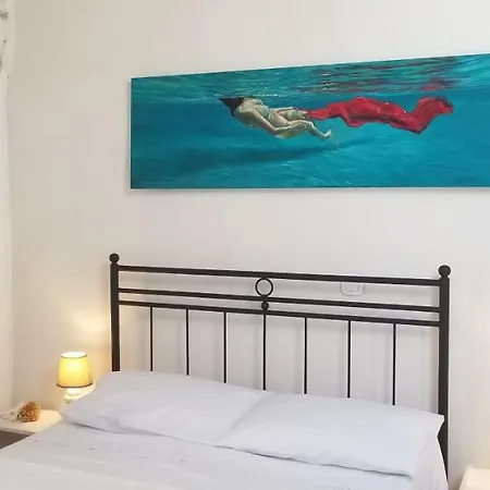 Amaranti House N Art