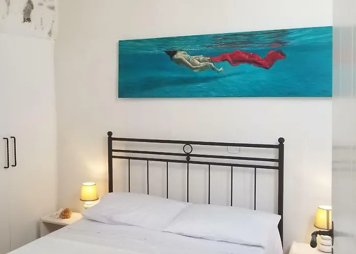 Amaranti House N Art